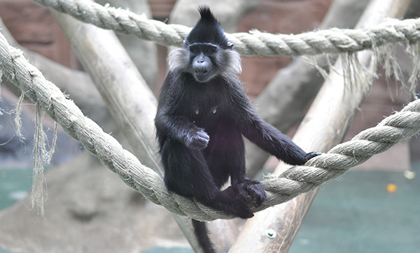 outdoor recommendations in the UK